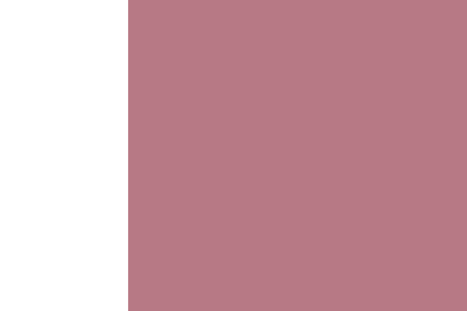 LS-color-maroon